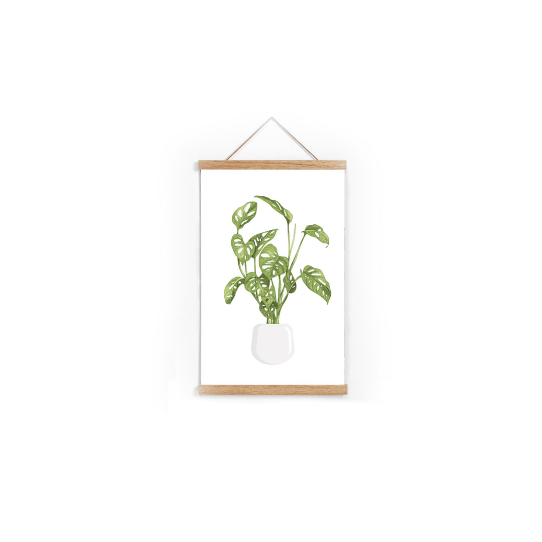 Monstera Adansonii - Greenery poster collection